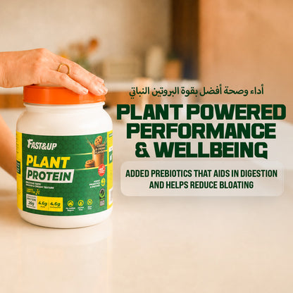 Plant Protein - 26 g Protein - Cookies & Cream