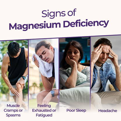Daily Magnesium for Muscle Health and to reduce Fatigue - Pack of 3