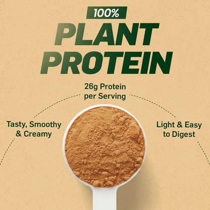 Plant Protein - 26 g Protein - Cookies & Cream